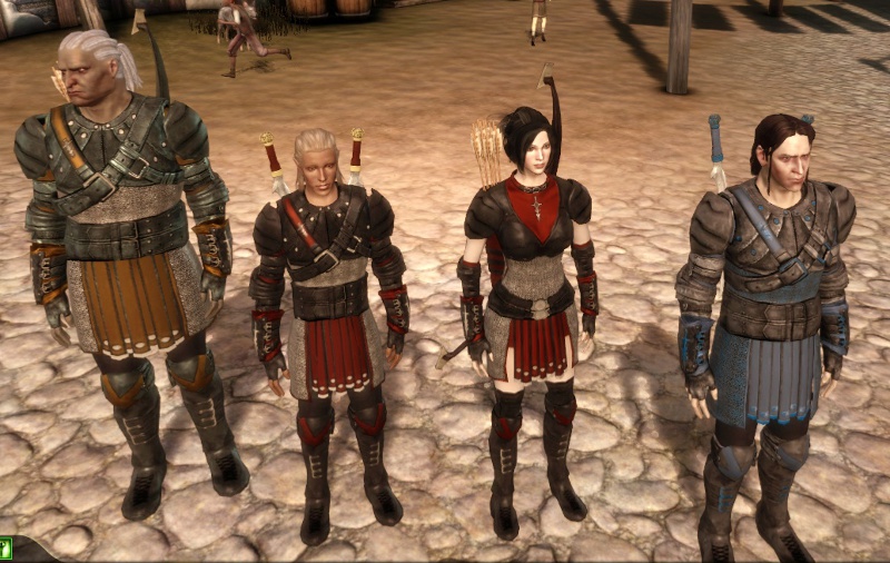 Dragon Age Origins Mod Side Braid