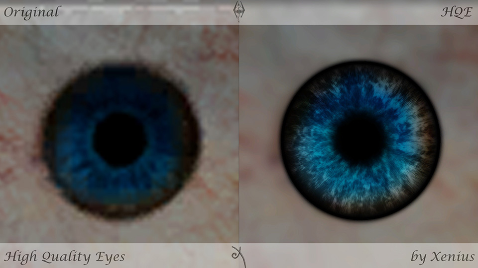 Closeup Photo Of Human Eye Free Stock Photo