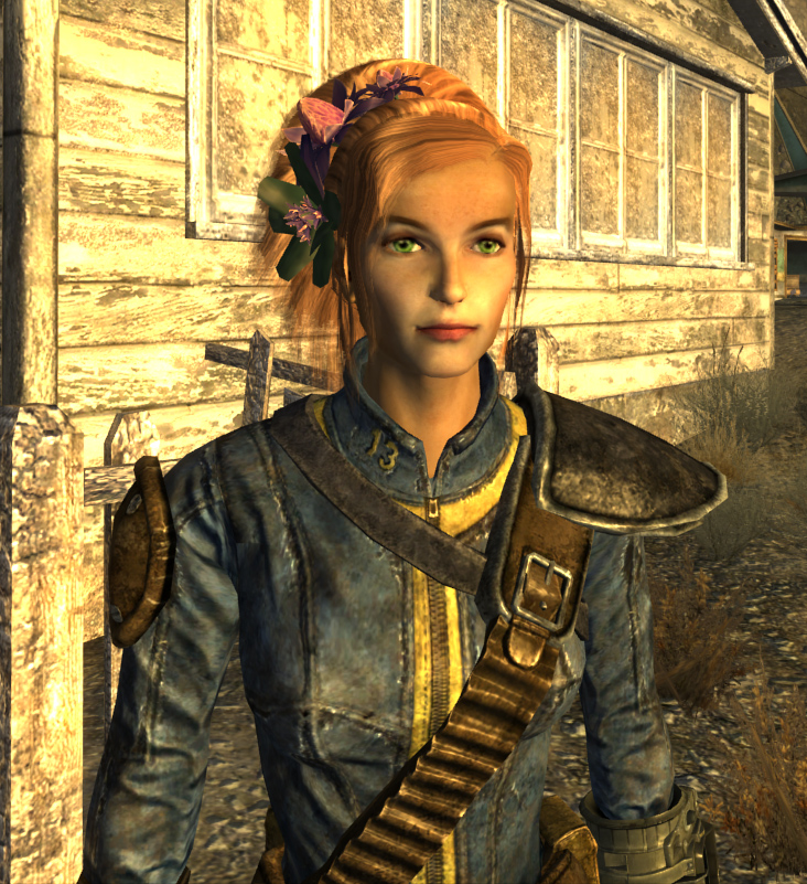 New Vegas Hairstyles Mod